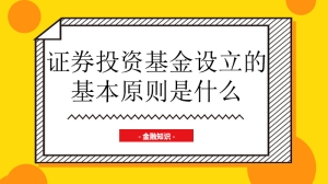 证券投资基金设立的基本原则是什么