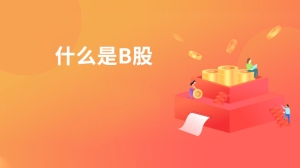 什么是B股