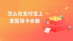 怎么在支付宝上查医保卡余额