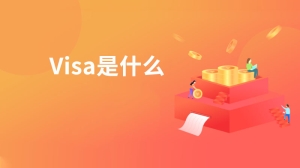 Visa是什么