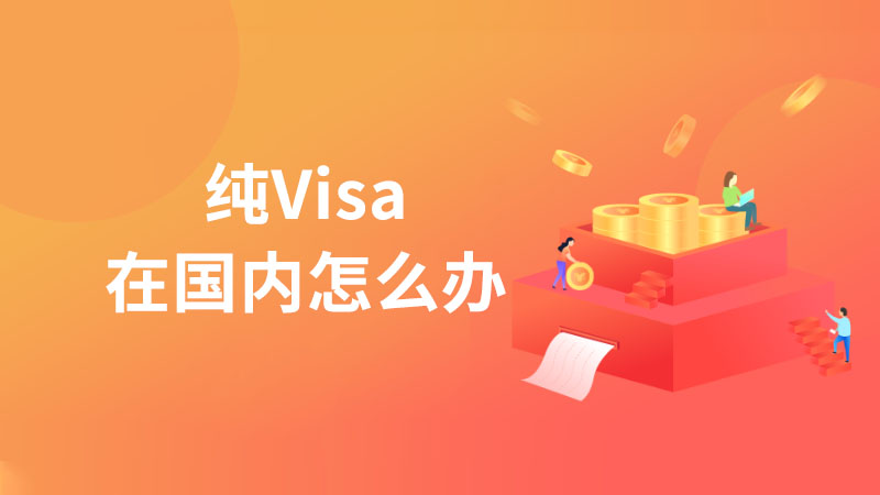 纯Visa在国内怎么办