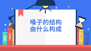 嗓子的结构由什么构成