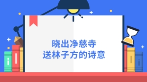 晓出净慈寺送林子方的诗意