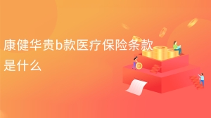 康健华贵b款医疗保险条款是什么