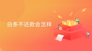 白条不还款会怎样