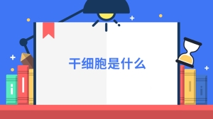 干细胞是什么