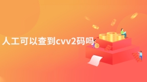 人工可以查到cvv2码吗