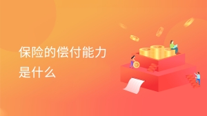 保险的偿付能力是什么