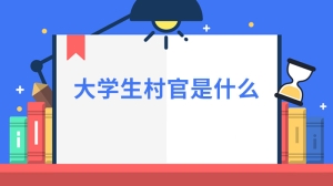 大学生村官是什么