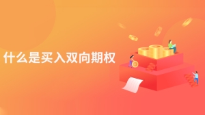 什么是买入双向期权