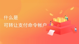 什么是可转让支付命令帐户