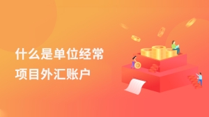 什么是单位经常项目外汇账户