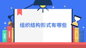 组织结构形式有哪些