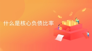 什么是核心负债比率