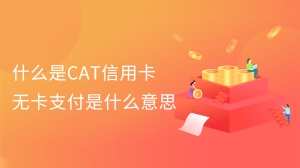 什么是CAT信用卡无卡支付是什么意思