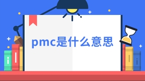 pmc是什么意思