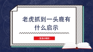 老虎抓到一头鹿有什么启示