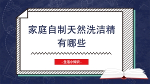 家庭自制天然洗洁精有哪些