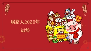 属猪人2020年运势