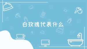 白玫瑰代表什么