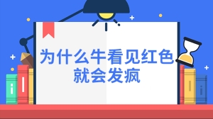 为什么牛看见红色就会发疯