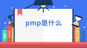 pmp是什么