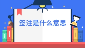 签注是什么意思