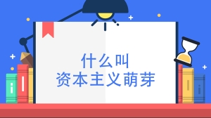 什么叫资本主义萌芽