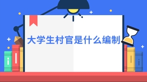 大学生村官是什么编制