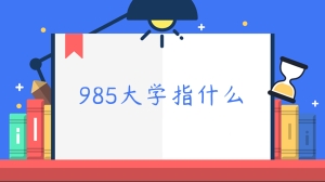 985大学指什么