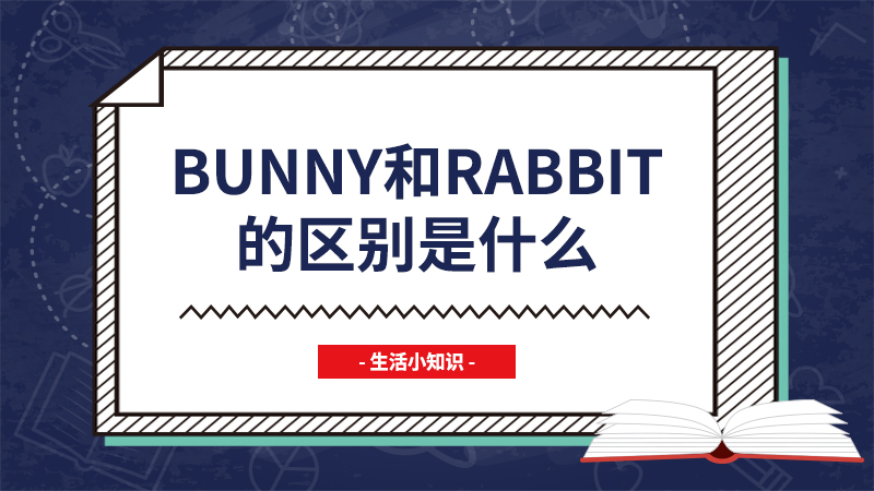bunny和rabbit的区别是什么