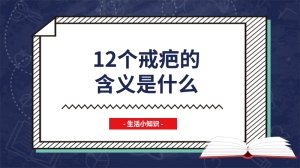 12个戒疤的含义是什么