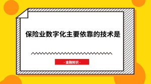 保险业数字化主要依靠的技术是