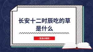 长安十二时辰吃的草是什么