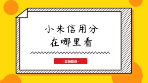 小米信用分在哪里看