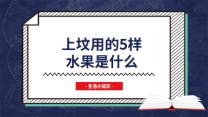 上坟用的5样水果是什么