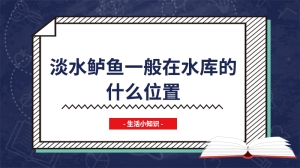 淡水鲈鱼一般在水库的什么位置