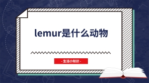 lemur是什么动物