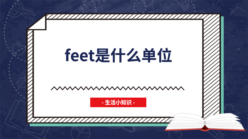 feet是什么单位
