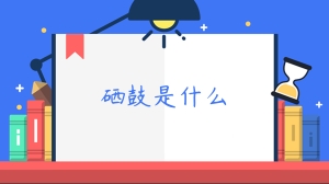 硒鼓是什么