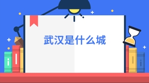 武汉是什么城