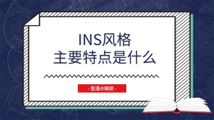 ins风格主要特点是什么