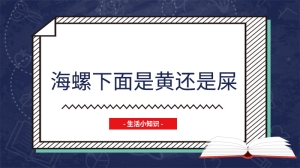 海螺下面是黄还是屎