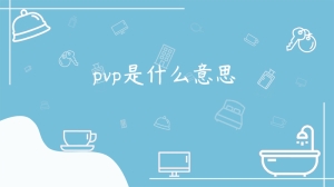 pvp是什么意思