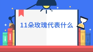 11朵玫瑰代表什么