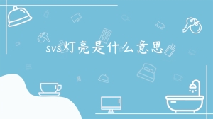 svs灯亮是什么意思