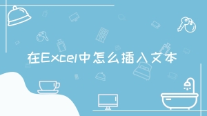 在Excel中怎么插入文本