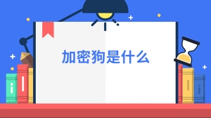 加密狗是什么