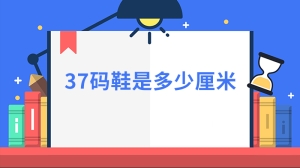 37码鞋是多少厘米