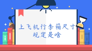 上飞机行李箱尺寸规定是啥